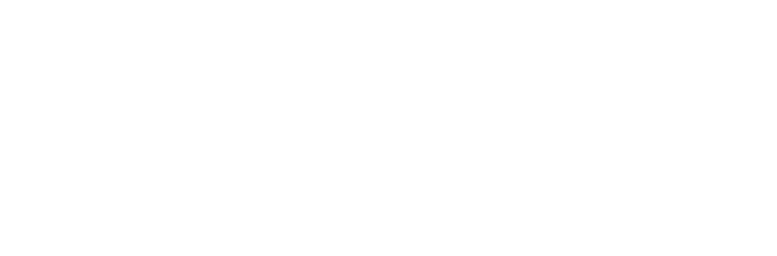logo-nicea